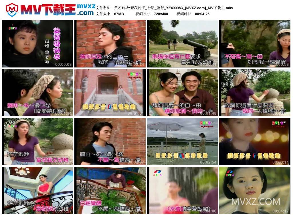 黄乙玲-放开我的手_台语_流行_YE400983